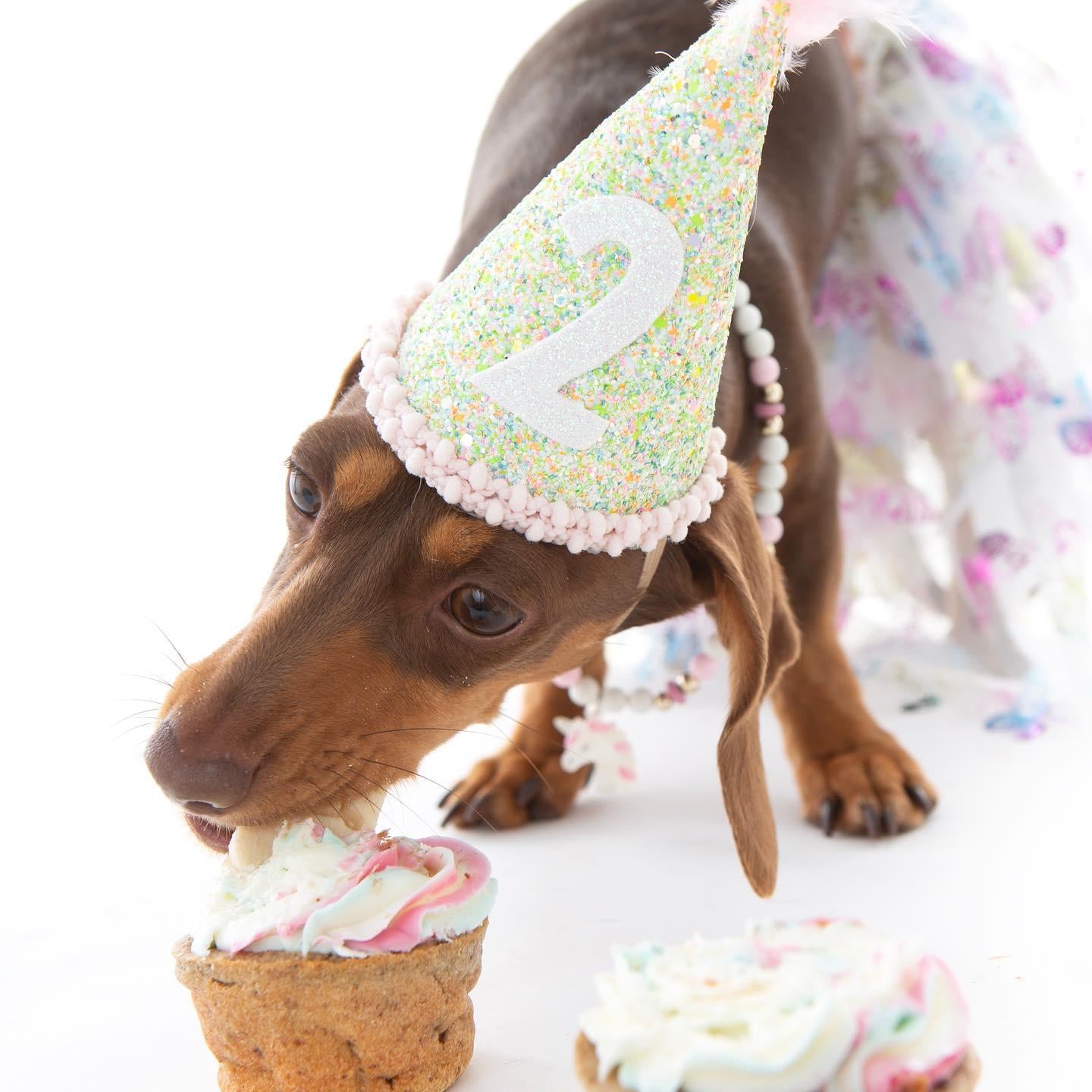 Pupcakes - 4 Pack