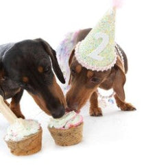 Pupcakes - 4 Pack