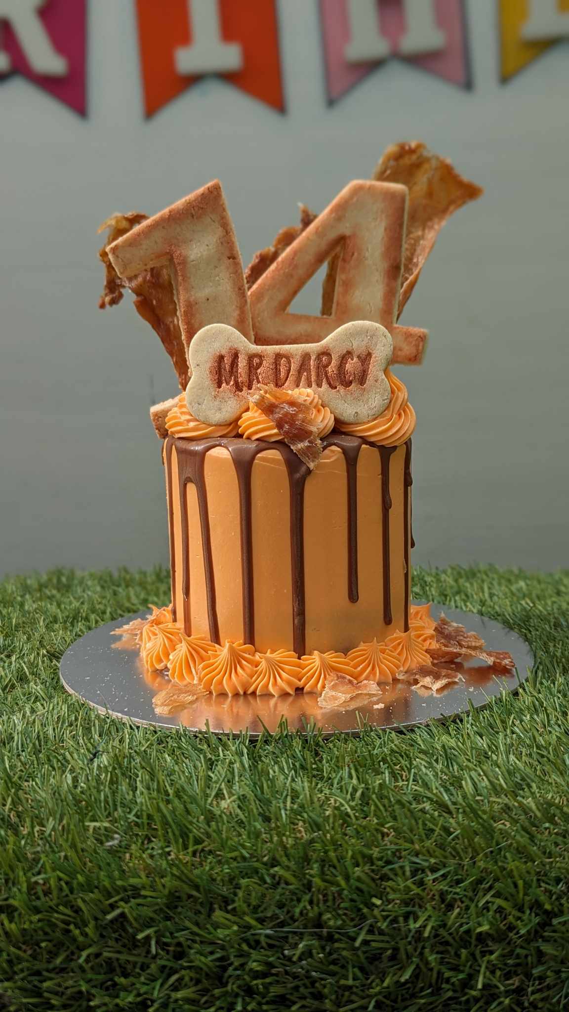 Regular Occasion Cake